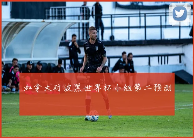 加拿大对波黑世界杯小组第二预测