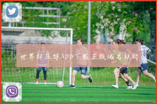 世界杯压球App下载正版域名核对