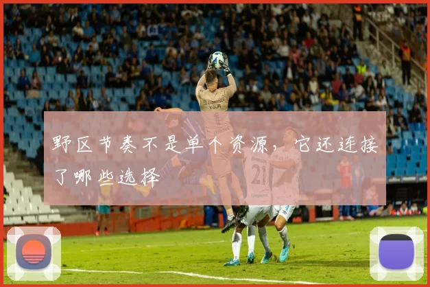 野区节奏不是单个资源，它还连接了哪些选择