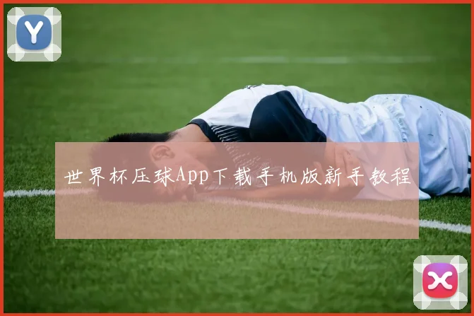 世界杯压球App下载手机版新手教程