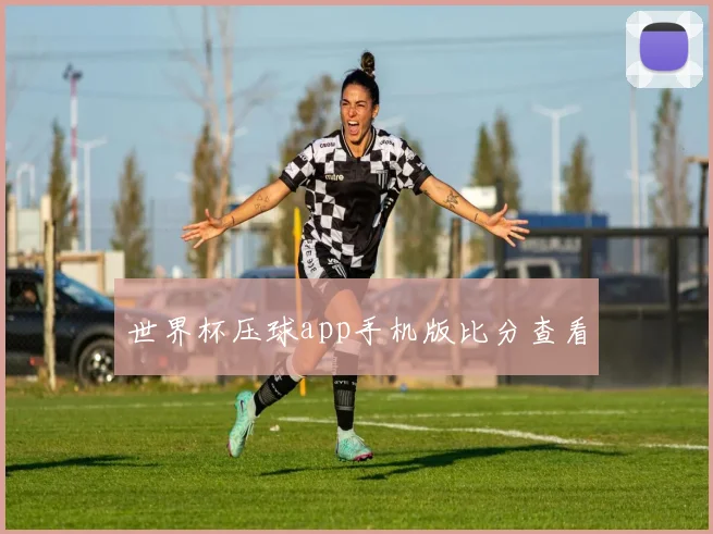 世界杯压球app手机版比分查看